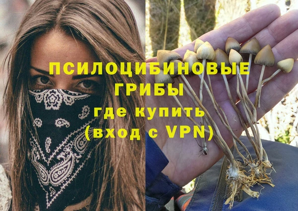молекула духа Володарск