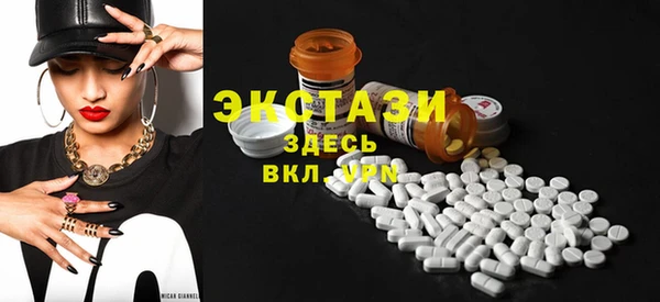 индика Горнозаводск