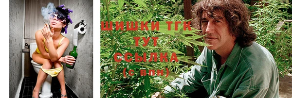 индика Горнозаводск