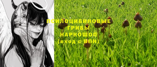 apvp Волосово